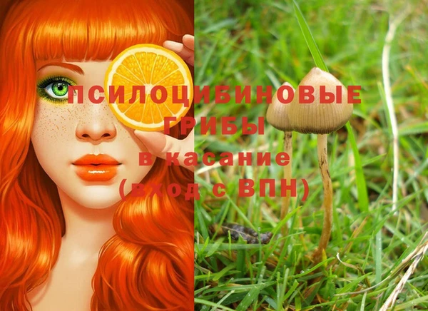марки nbome Новокубанск