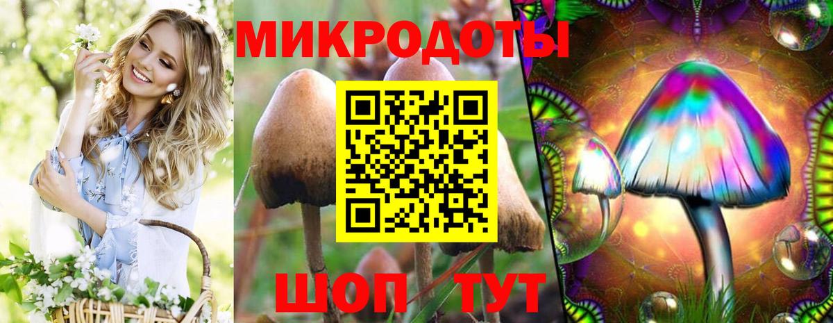 Псилоцибиновые грибы Psilocybine cubensis  Галлюциногенные грибы мухоморы  Крымск 