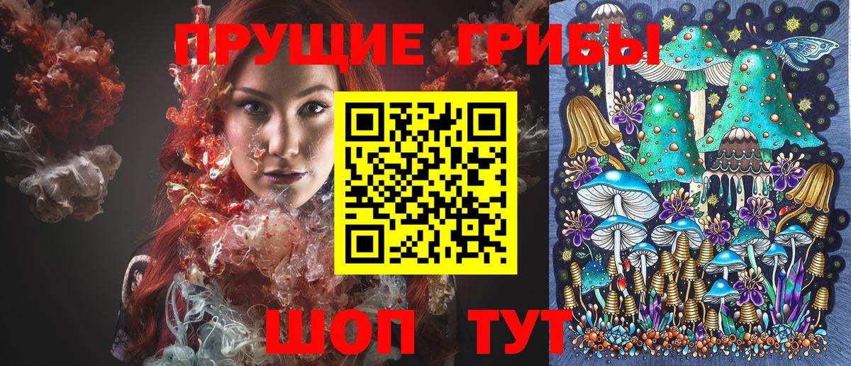 Галлюциногенные грибы Psilocybe Крымск